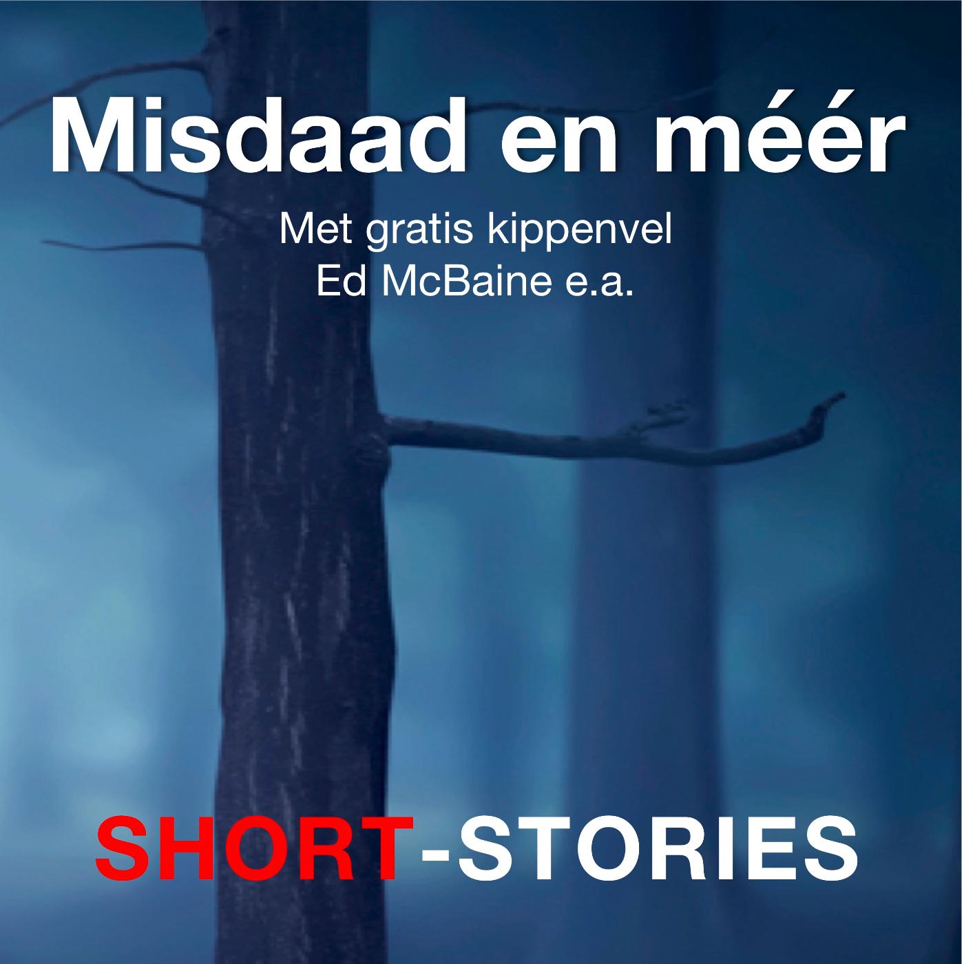 Omslag van Misdaad en meer