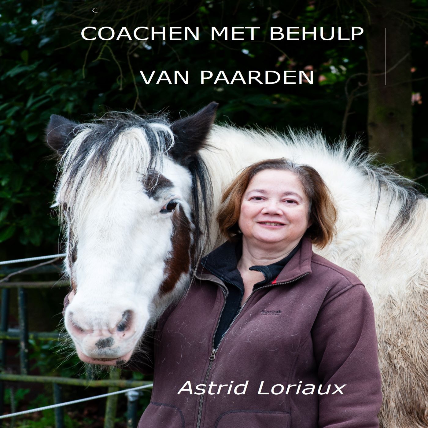 Omslag van Coachen met behulp van paarden