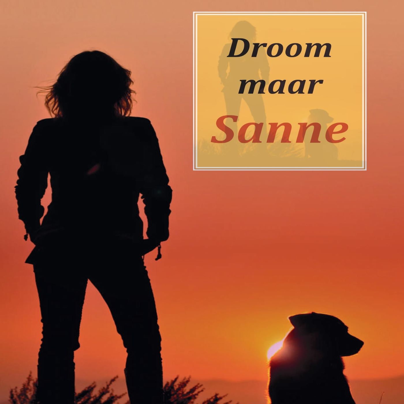 Omslag van Droom maar Sanne