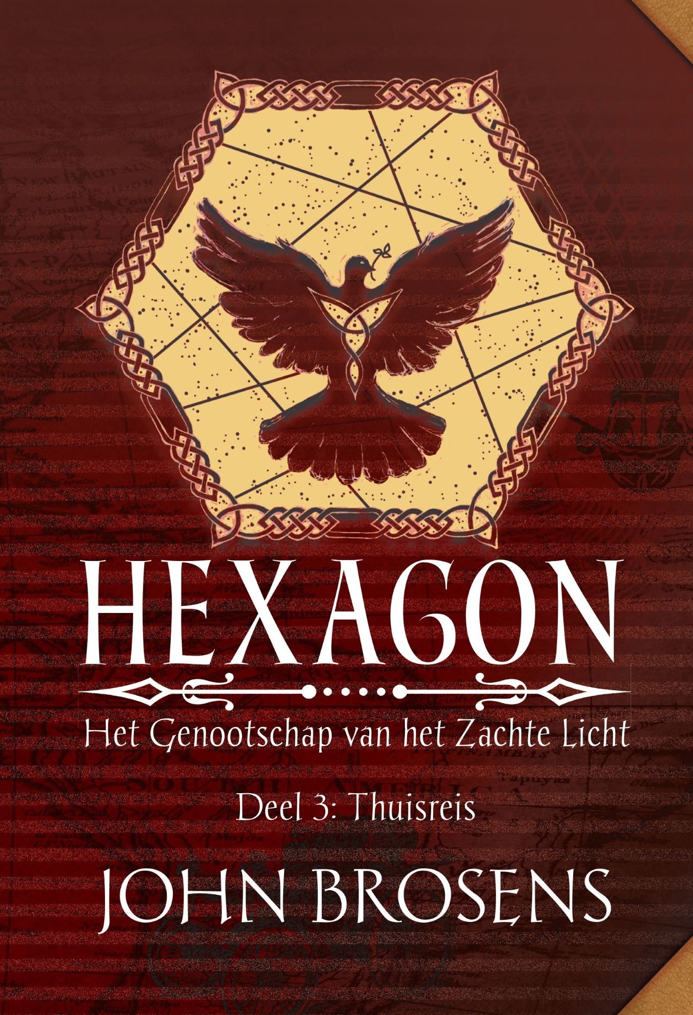 Omslag van Thuisreis