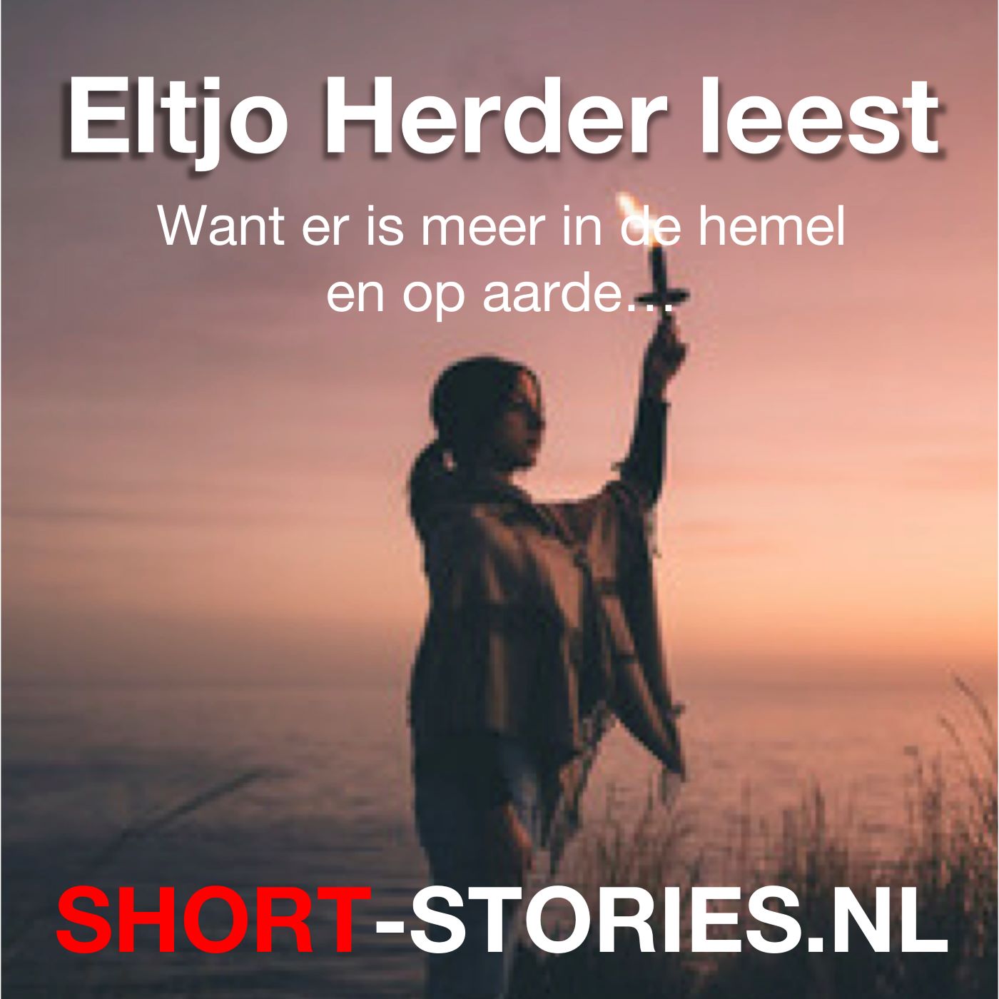 Omslag van Eltjo Herder leest