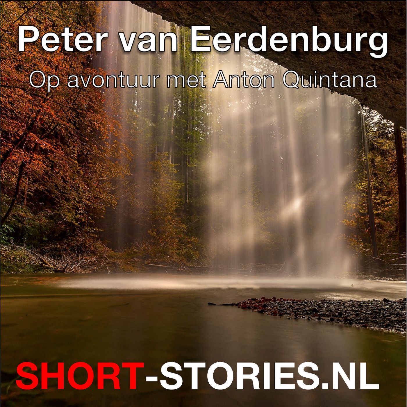 Omslag van Peter van Eerdenburg