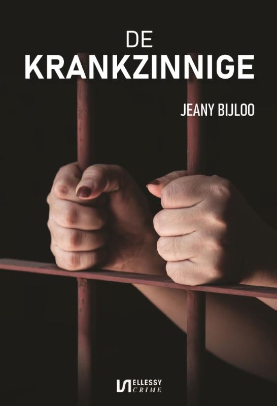 Omslag van De krankzinnige