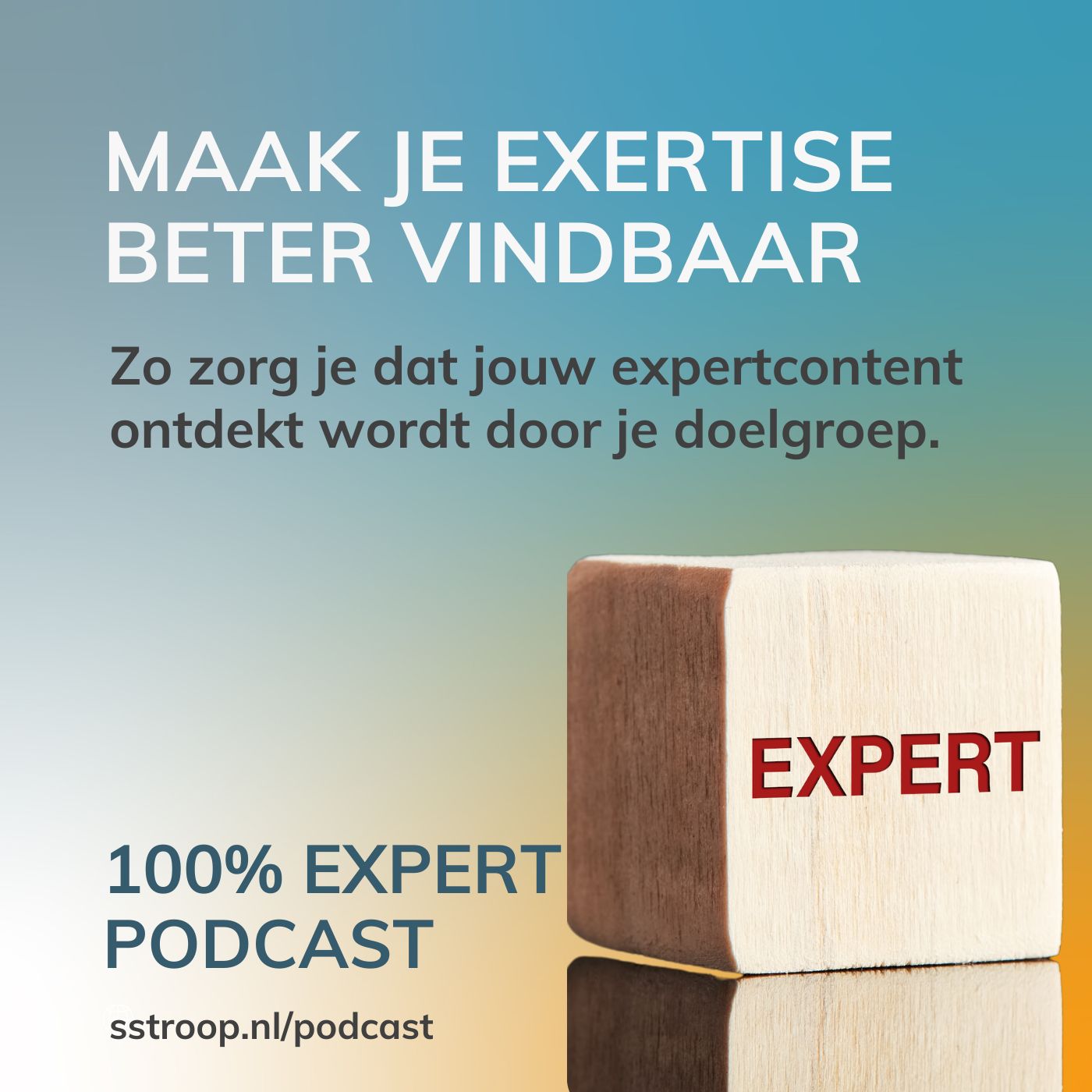Omslag van Maak je expertise beter vindbaar
