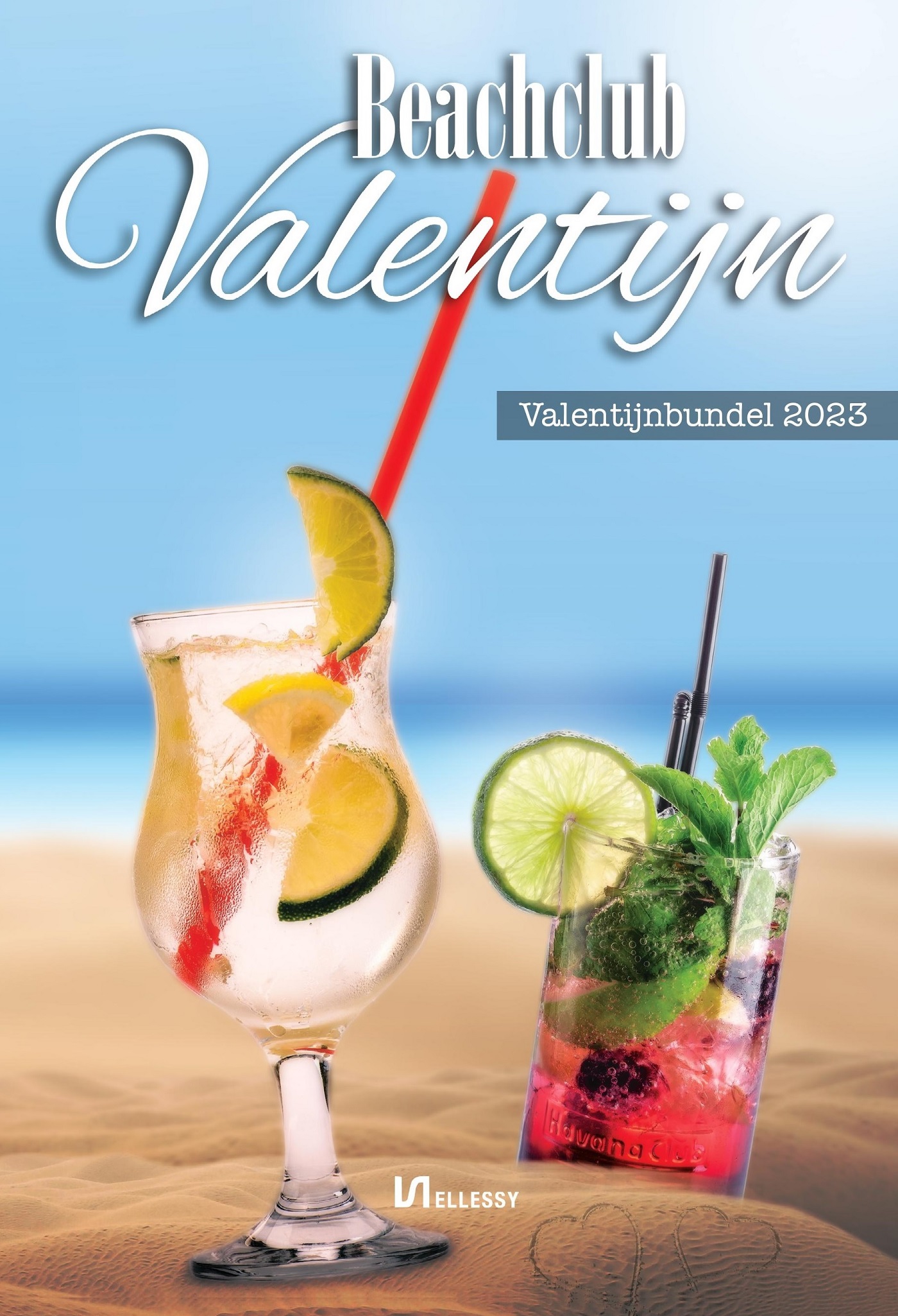 Omslag van Beachclub Valentijn