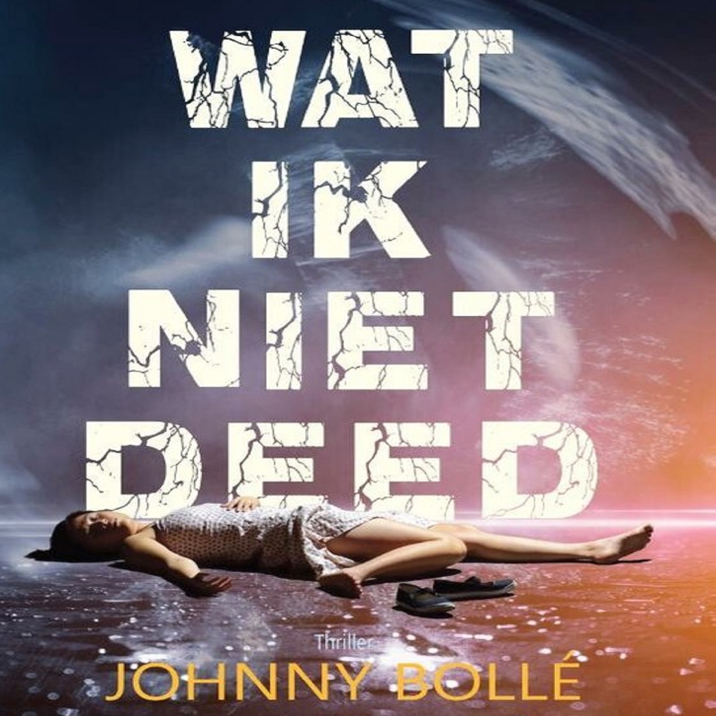 Omslag van Wat ik niet deed