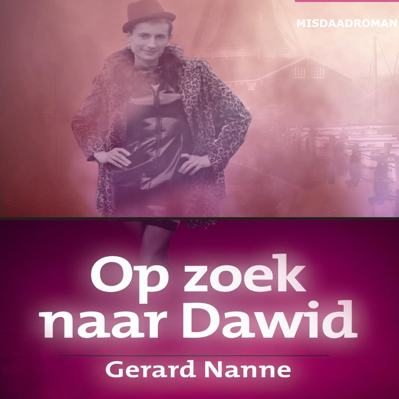 Omslag van Op zoek naar Dawid