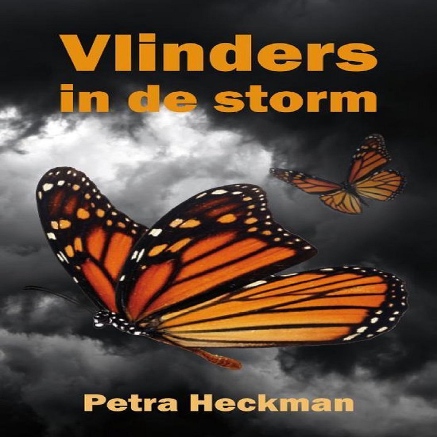 Omslag van Vlinders in de storm