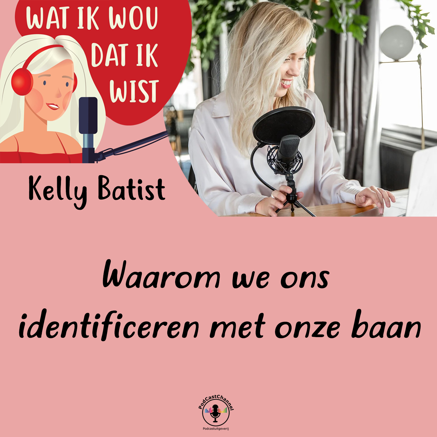 Omslag van Waarom we ons identificeren met onze baan