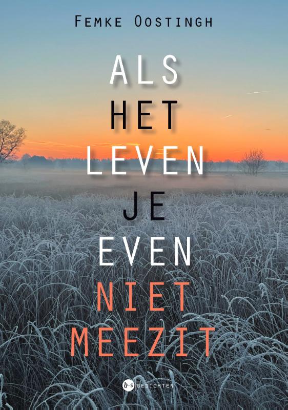 Omslag van Als het leven je even niet meezit