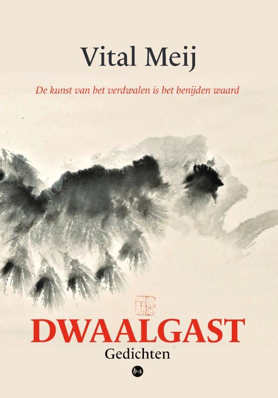 Omslag van Dwaalgast
