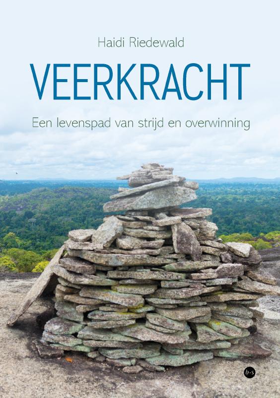 Omslag van Veerkracht