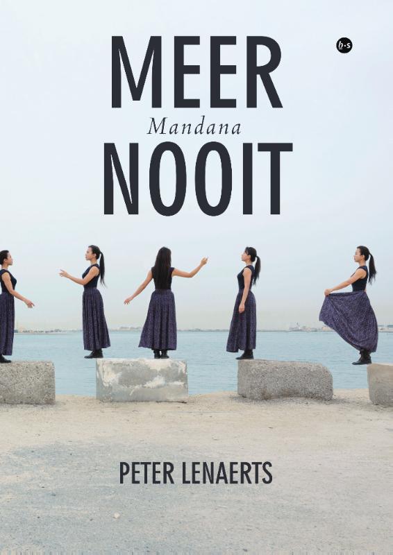 Omslag van Meer nooit