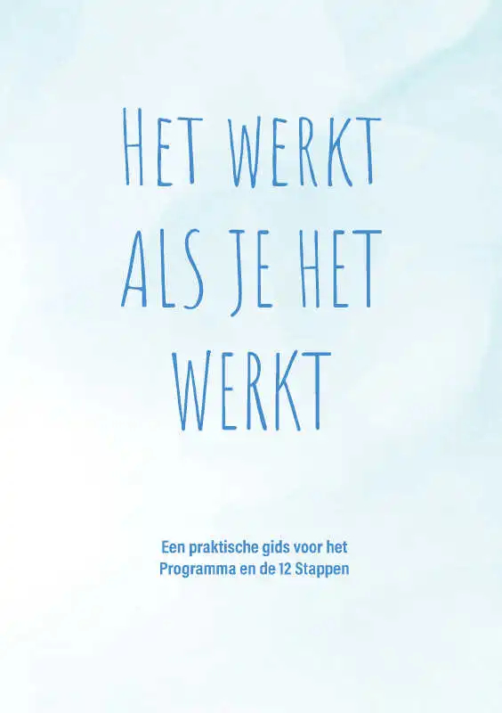 Omslag van Het werkt als je het werkt