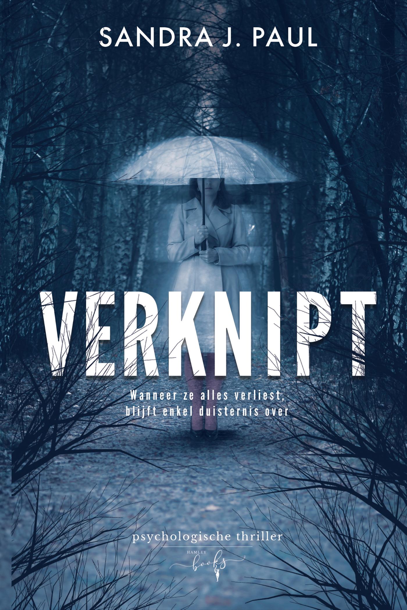 Omslag van Verknipt