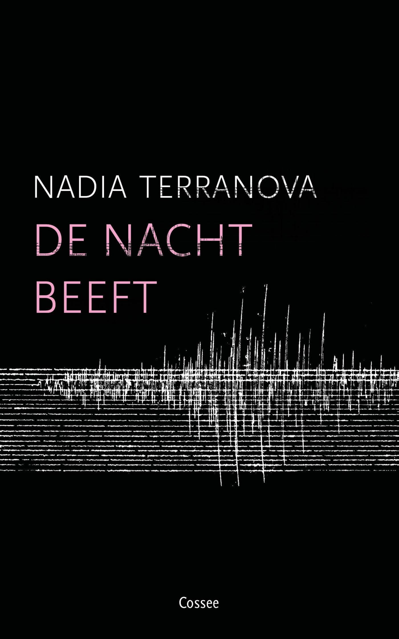 Omslag van De nacht beeft