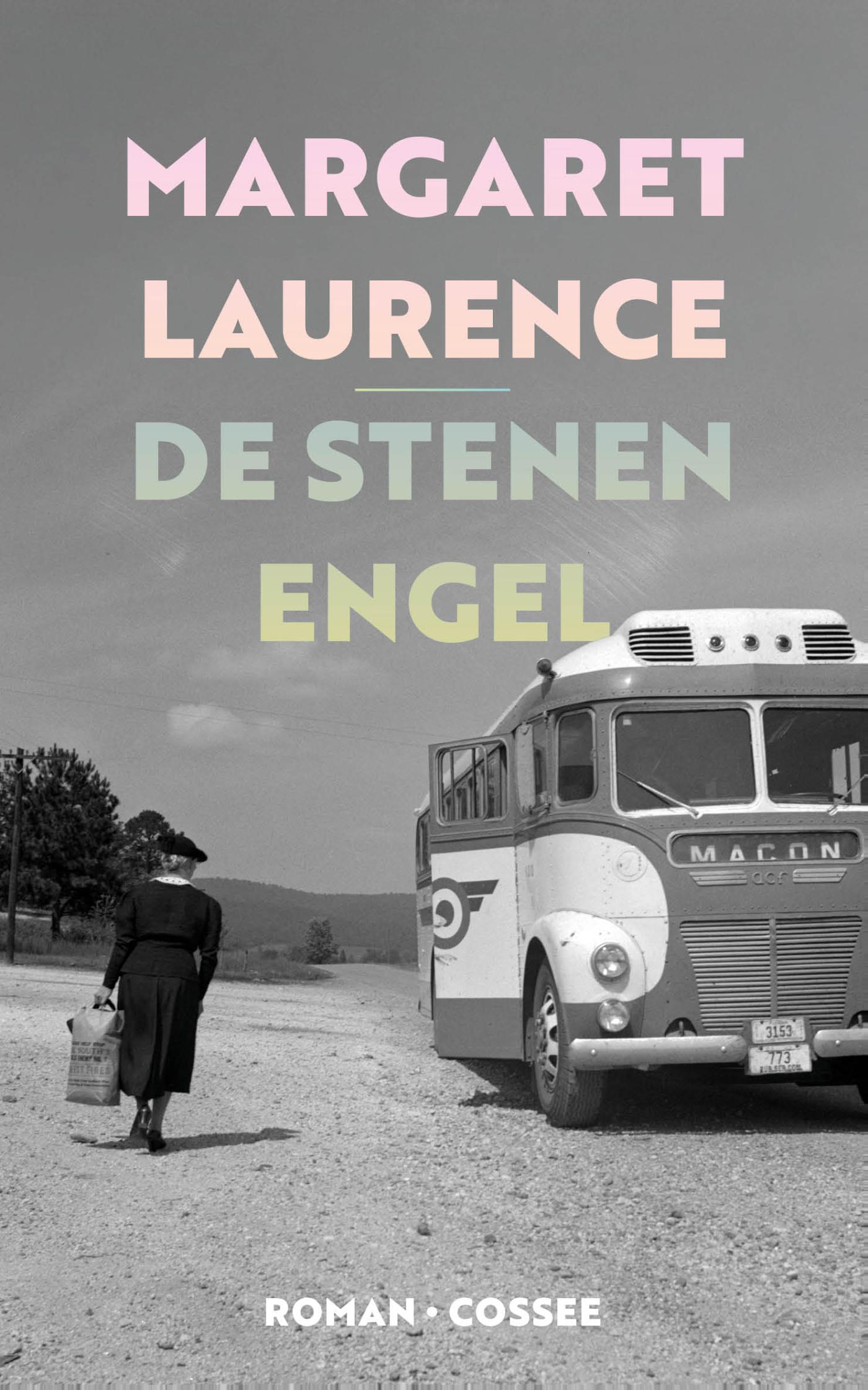 Omslag van De stenen engel