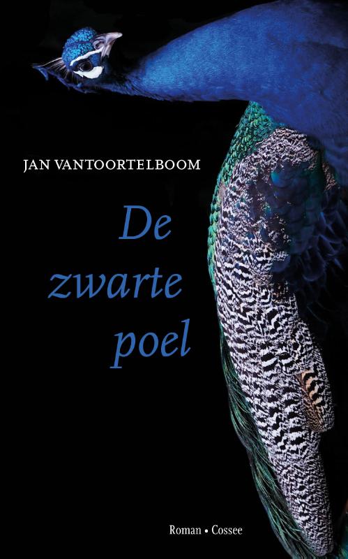 Omslag van De zwarte poel