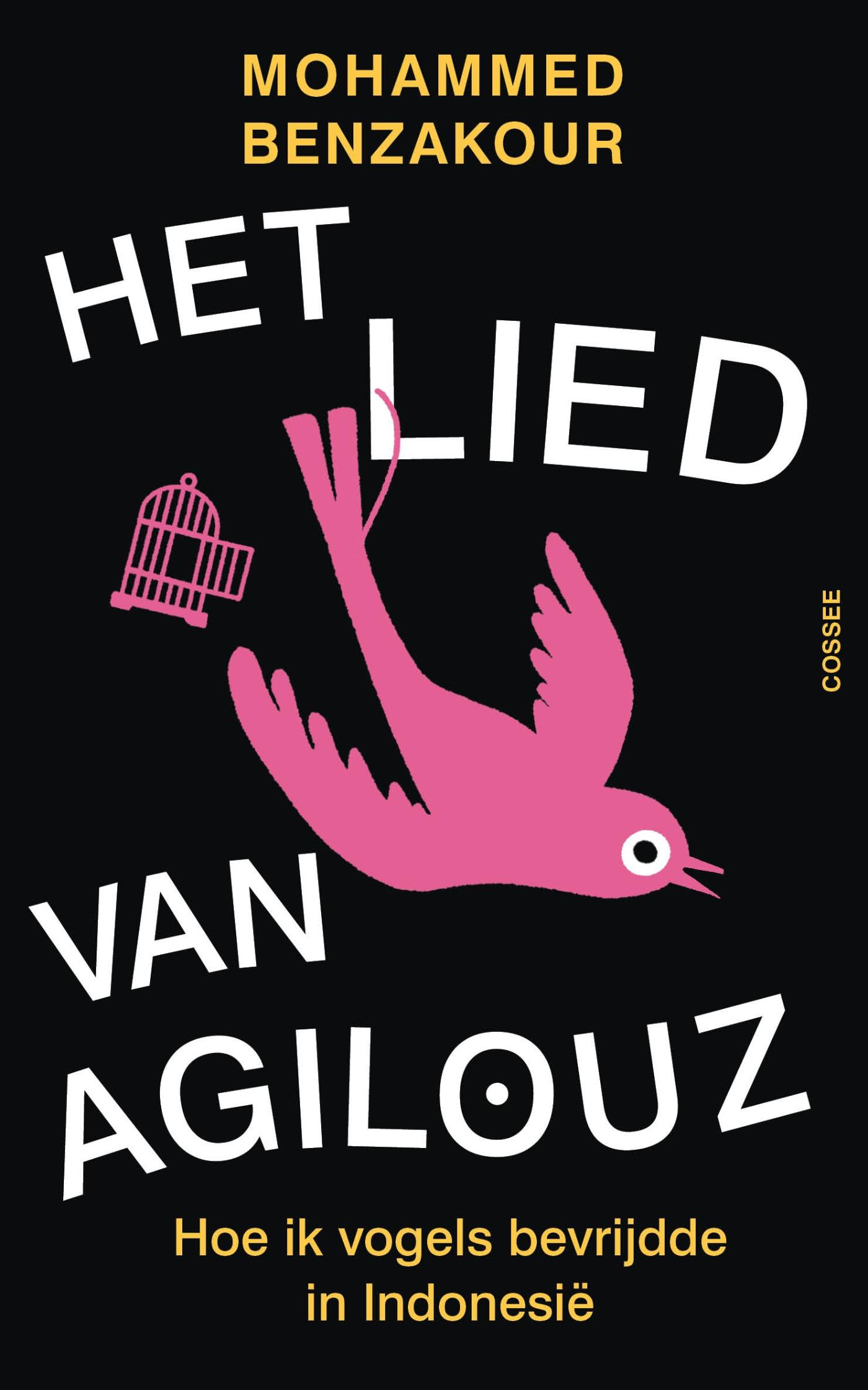 Omslag van Het lied van Agilouz