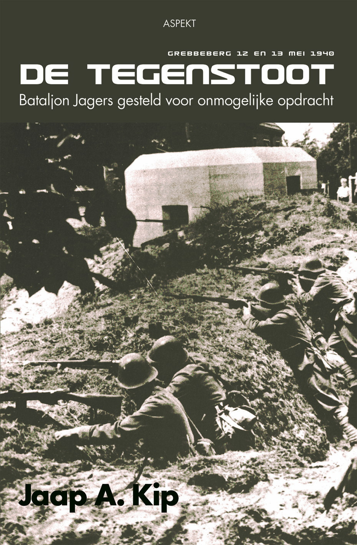 Omslag van De tegenstoot