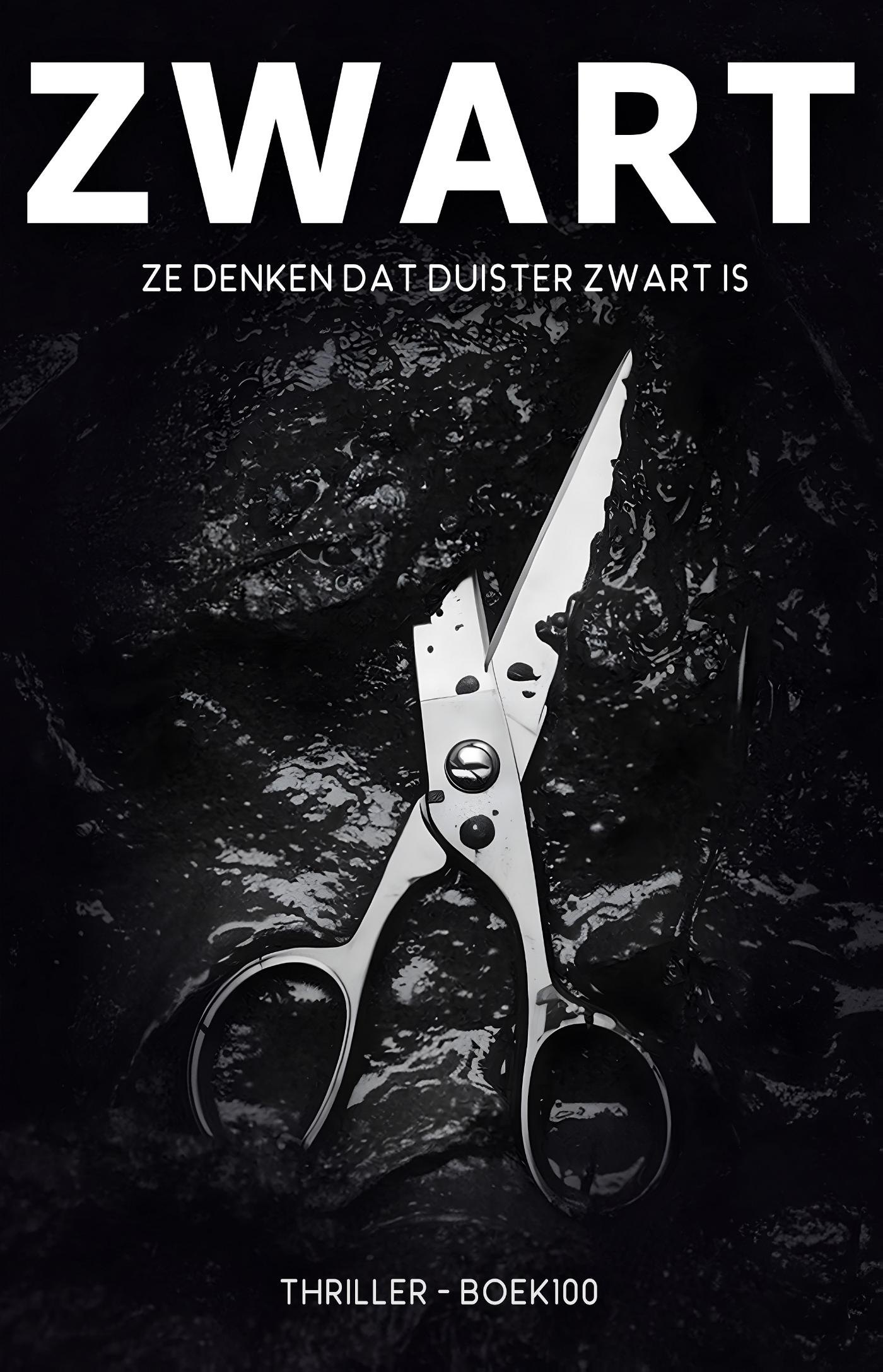 Omslag van Zwart