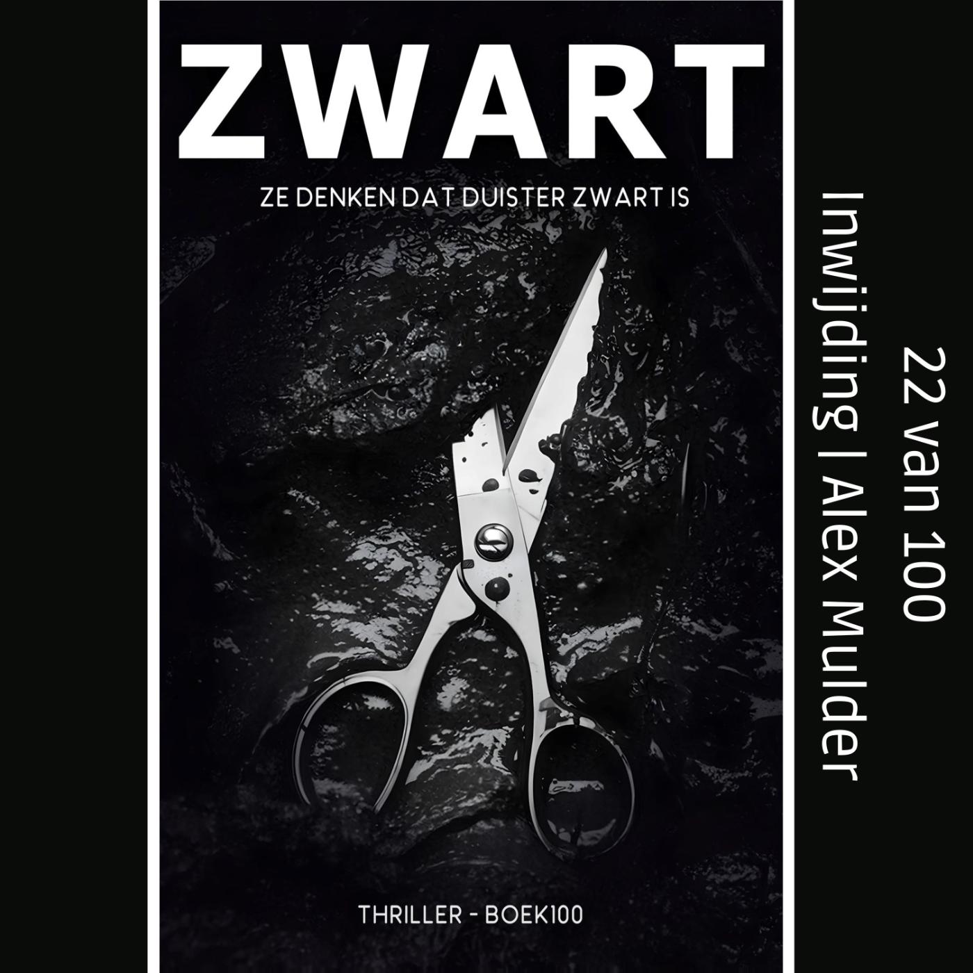 Omslag van Inwijding