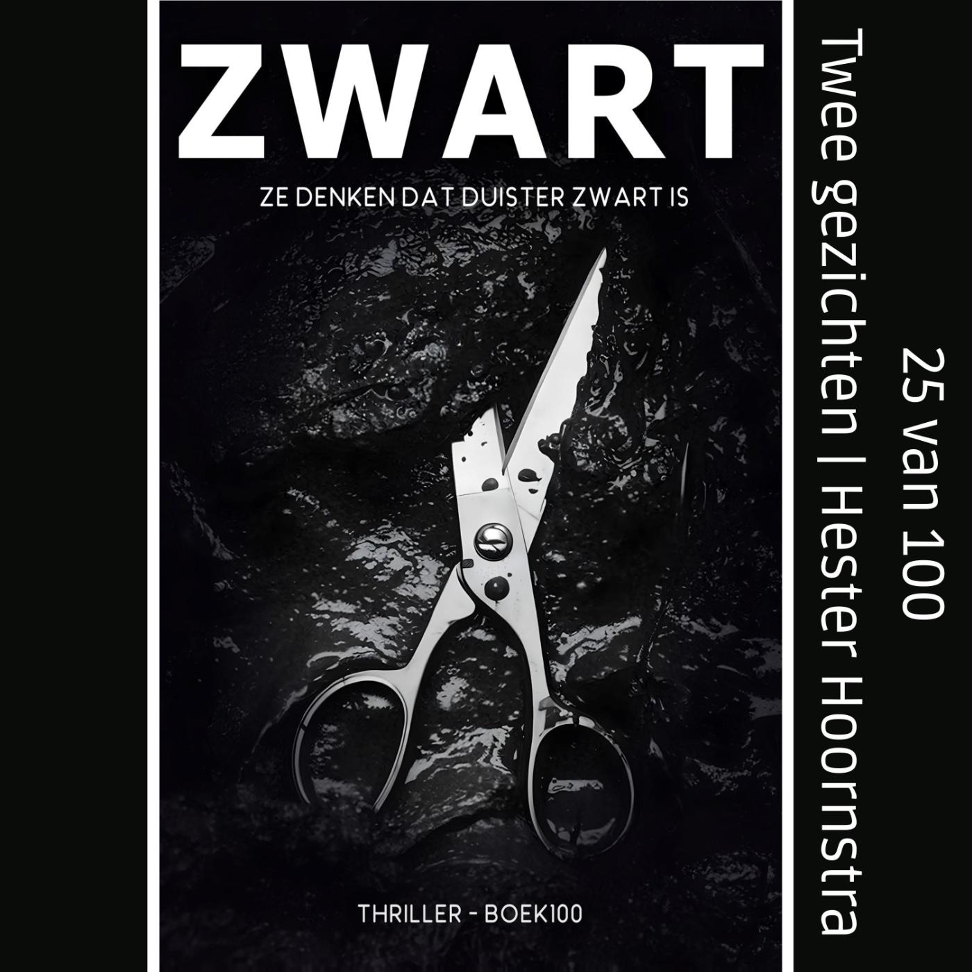Omslag van Twee gezichten