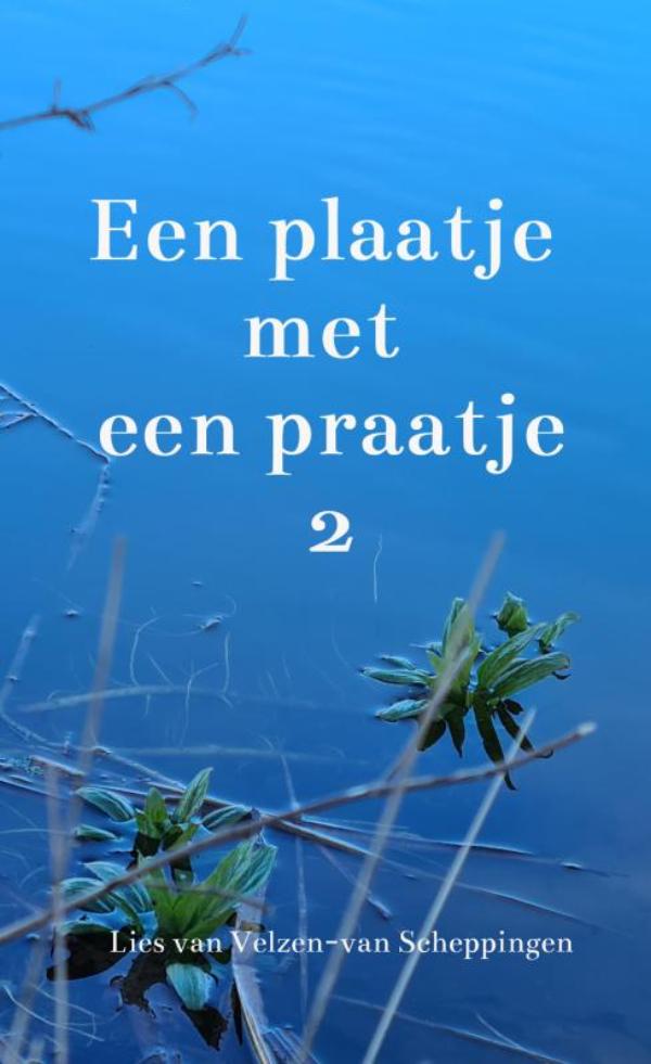 Omslag van Een plaatje met een praatje 2