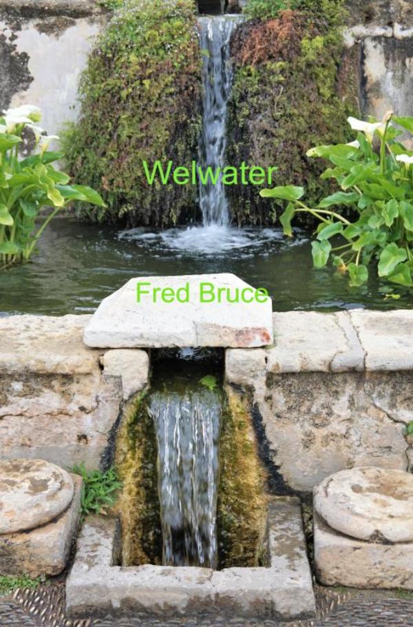Omslag van Welwater
