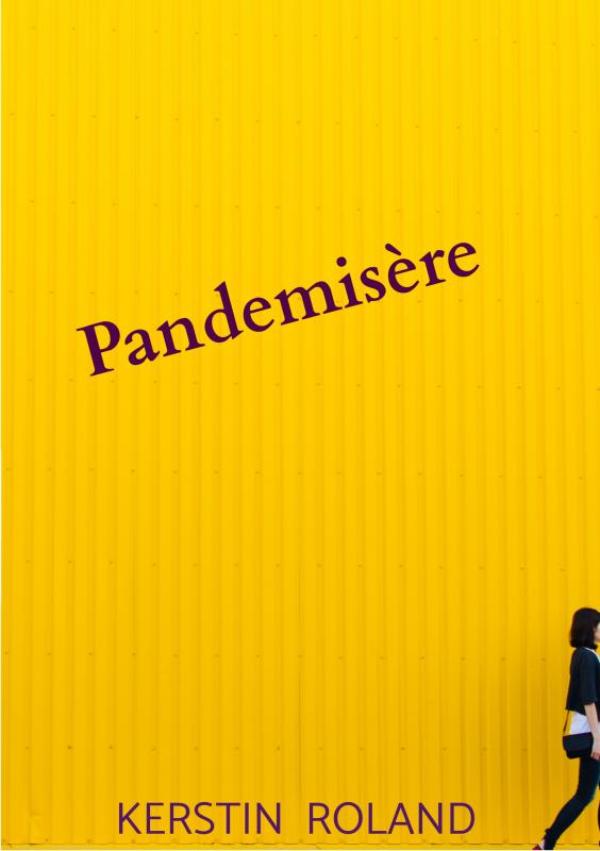 Omslag van Pandemisère