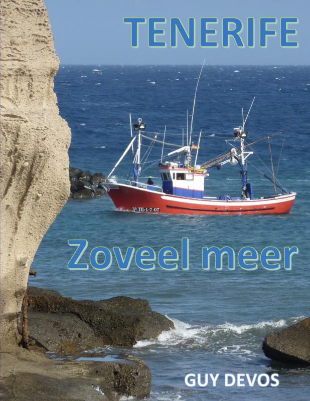 Omslag van Tenerife, zoveel meer