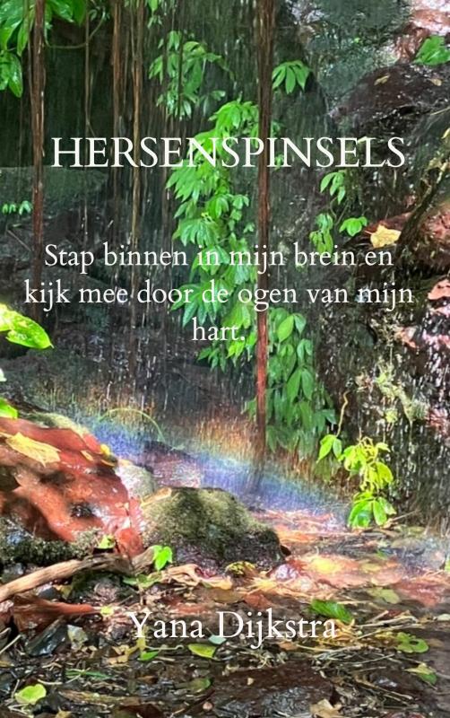 Omslag van HERSENSPINSELS