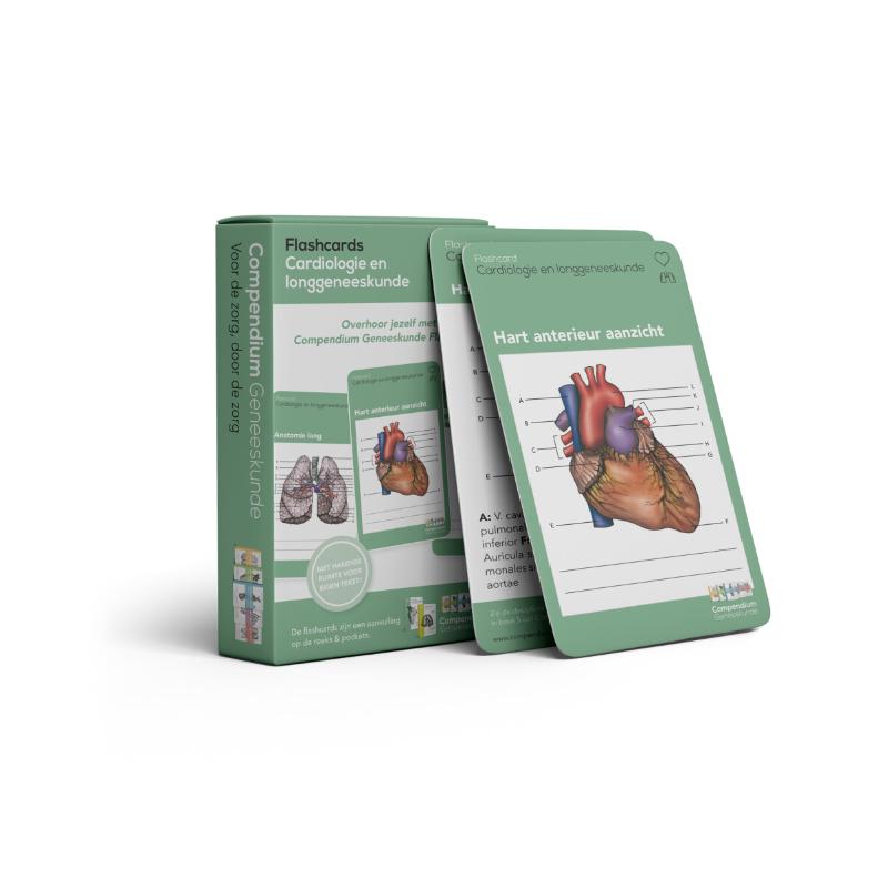 Omslag van Flashcards Cardiologie en Longgeneeskunde