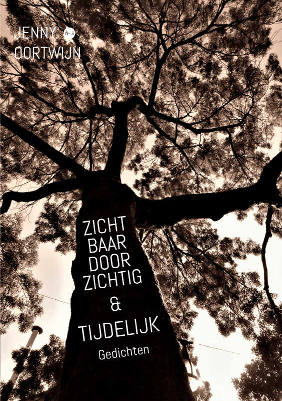 Omslag van Zichtbaar doorzichtig & Tijdelijk