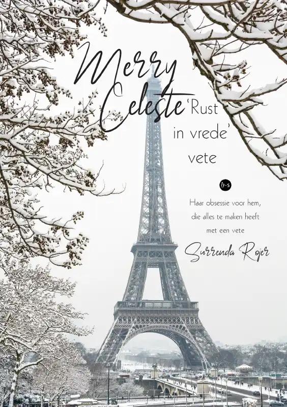 Omslag van Merry Celeste – ‘Rust in vrede’-vete