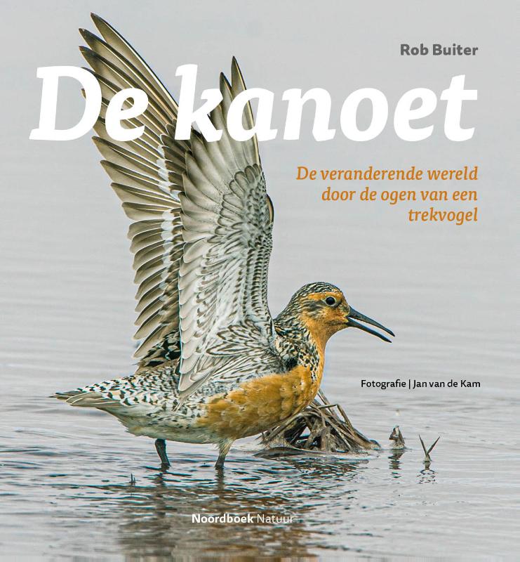 Omslag van De kanoet