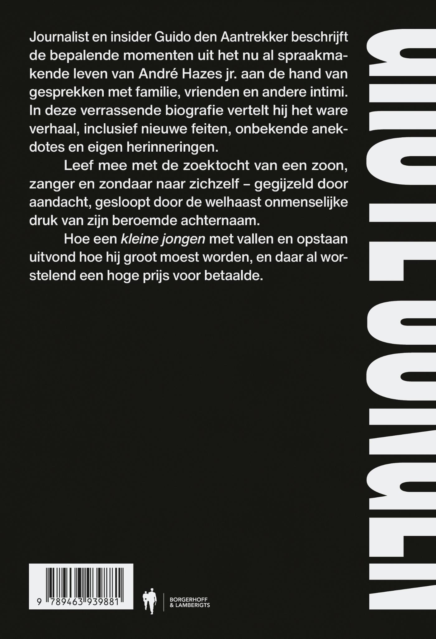 Omslag van Grote jongen