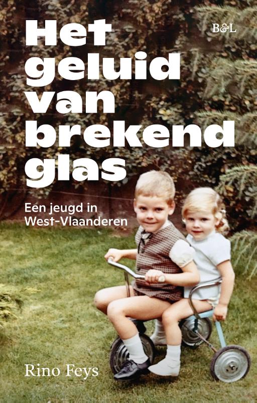 Omslag van Het geluid van brekend glas