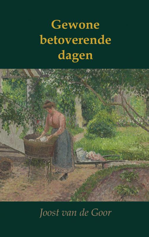 Omslag van Gewone betoverende dagen