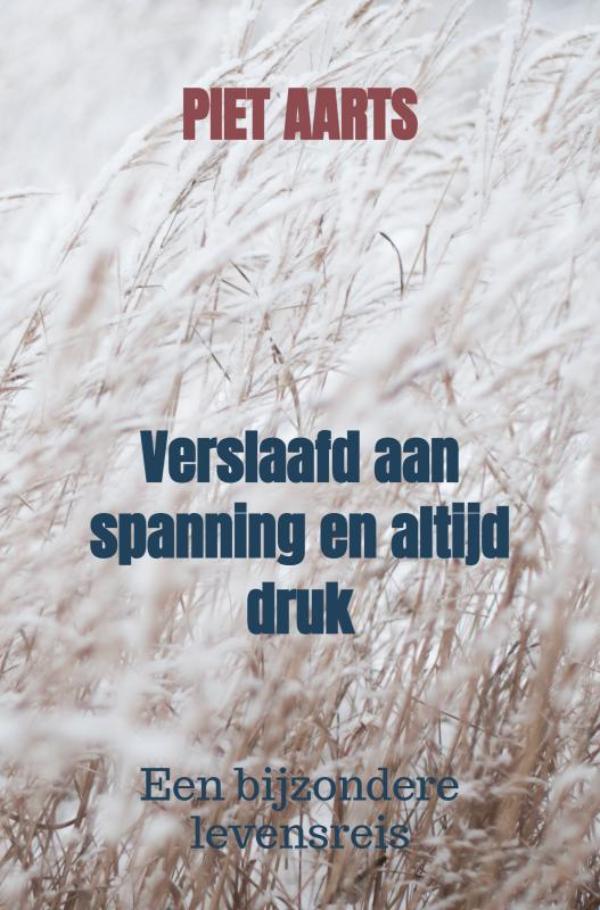 Omslag van Verslaafd aan spanning en altijd druk
