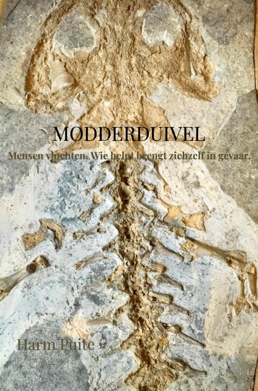 Omslag van Modderduivel