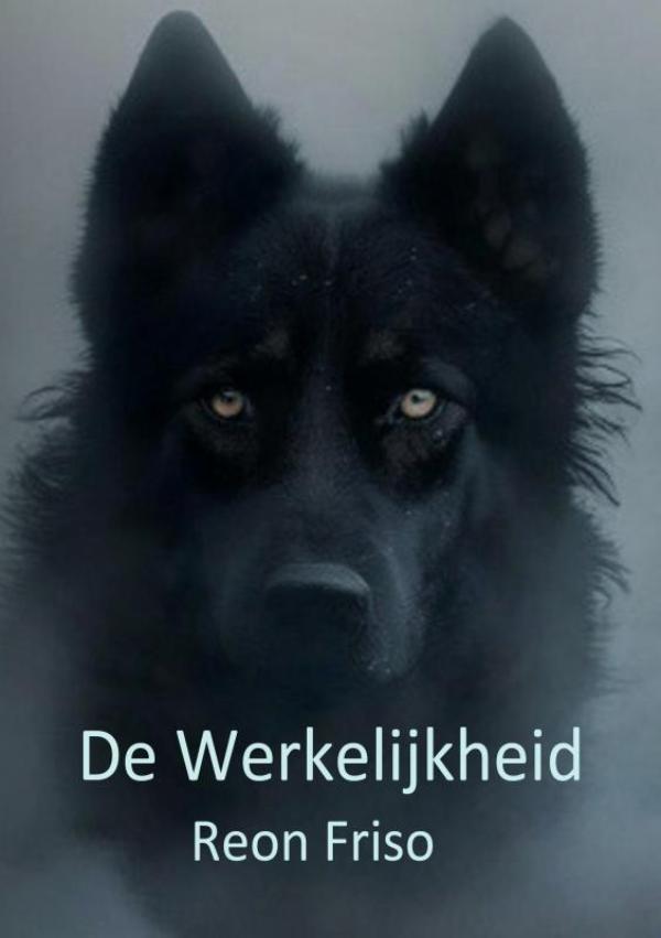 Omslag van De Werkelijkheid