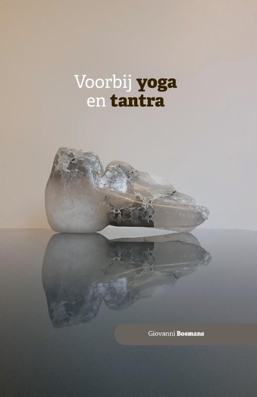 Omslag van Voorbij yoga en tantra