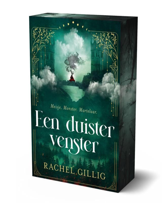 Omslag van Een duister venster
