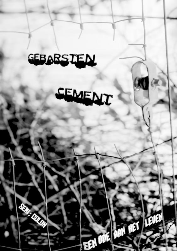 Omslag van Gebarsten Cement