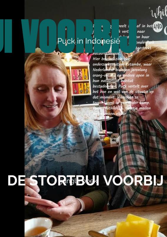 Omslag van DE STORTBUI VOORBIJ