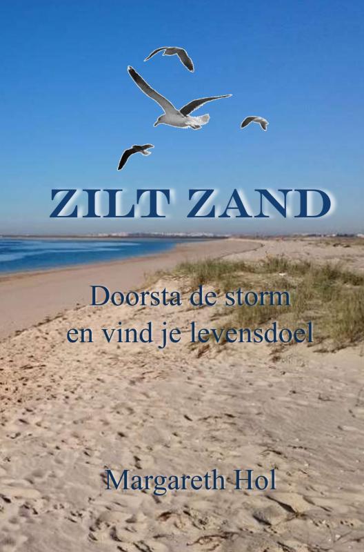 Omslag van Zilt zand