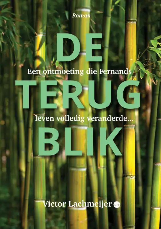 Omslag van De terugblik