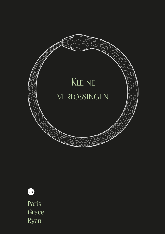 Omslag van Kleine verlossingen