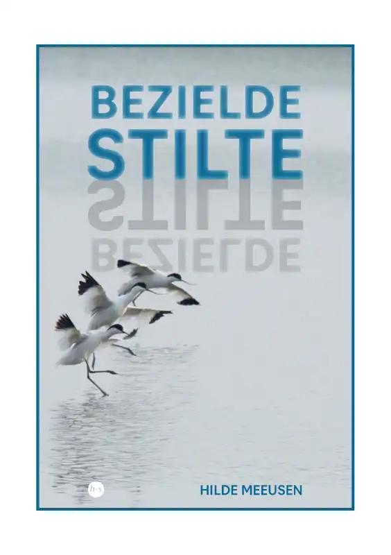 Omslag van Bezielde stilte